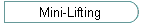 Mini-Lifting